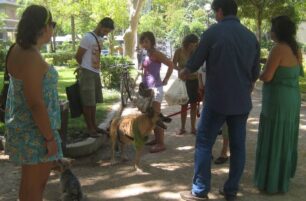 Φιλοζωικός Σύλλογος Χανίων: Τα ζώα δεν είναι ακάθαρτα!